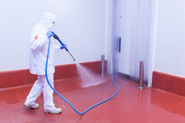 Best Oil Spill Cleanup  in South Eliot, ME